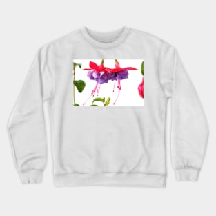 Fuchsia Crewneck Sweatshirt